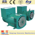 Stamford copy type famous NENJO brand best 18KW/23KVA brushless electric alternator genrator manufacturer (6.5KW~1760KW)